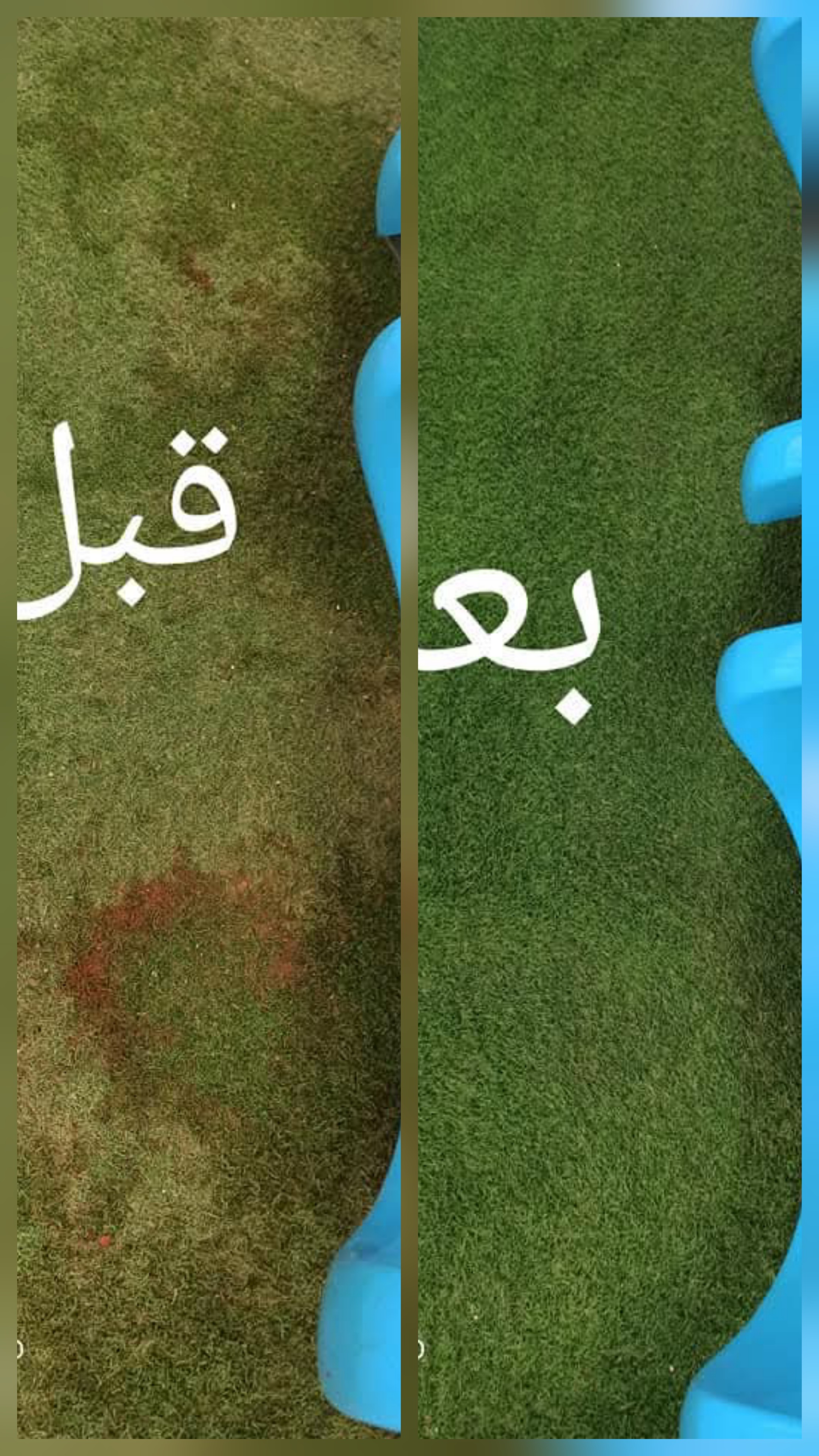 تنظيف الشركات